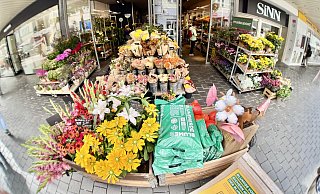 Wo jetzt noch Blume2000 in der Bielefelder Einkaufszone zu Hause ist, wollen vier Bielefelder Brüder mit Geschäftssinn bald Instant-Ramen verkaufen. - Peter Unger