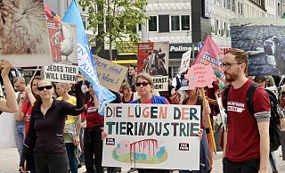 Mit Transparten, Plakaten und Fotos mit drastischen Bildern gequälter Tiere zogen die Demonstranten durch die Bielefelder Innenstadt. „Schlachthäuser schließen!“ lautet ihre Forderung. - Peter Unger