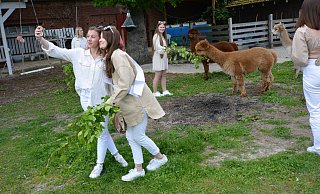 Erinnerungsfotos gehören zu einem gelungenen Workshop dazu. Hier mit den Alpakas im Hintergrund. - Karin Prignitz