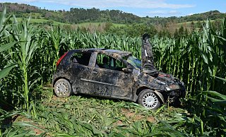 Das Auto überschlägt sich und kommt ein paar Meter weiter im Maisfeld zum Stehen. - Nicole Niemann