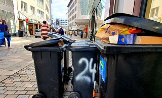 Klare Zuordnung jeder Tonne? Schon heute versuchen viele Bürger, ihre Tonnen durch aufgemalte Hausnummern oder Namen zu personalisieren, vor allem, um Verwechslungen zu vermeiden. - Kurt Ehmke