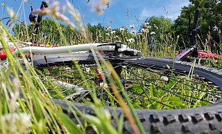 Auf Fahrräder haben es offenbar Diebe in Lübbecke abgesehen. - Symbolbild: Heike von Schulz