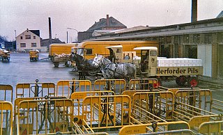 Brauerei-Gespanne imEinsatz: Bis vor wenigen Jahren hatte die Herforder Brauerei ein Schaugespann mit prächtigen Kaltblütern. Es diente Werbezwecken. Bis weit in die Nachkriegszeit wurden Kutschen aber noch wie hier gezeigt im Alltag als Transportmittel genutzt. Foto:Sammlung Polster - Frank-Michael Kiel-Steinkamp