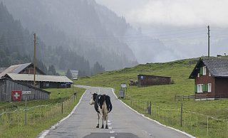 «Die Zahl der Deutschen mit Wohnsitz in der Schweiz steigt seit Jahren kontinuierlich», berichtete die Statistikbehörde. Binnen zehn Jahren erhöhte sich die Zahl der Deutschen in der Schweiz um 10,7 Prozent. (Archivfoto) - Urs Flueeler/KEYSTONE/dpa