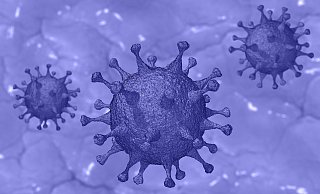 Der Inzidenzwert im Kreis Herford sinkt, doch die Zahl der Mutationsfälle nimmt weiter zu. - Symbolbild: Pixabay