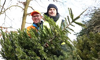 Die beiden CVJM-Mitglieder Magnus Wollert (l.) und Luis Wallmann bringen Fuhre um Fuhre ausgediente Tannenbäume zu der Sammelstelle an der Stüher Straße. - Elke Niedringhaus-Haasper