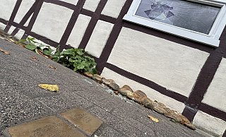 Das Haus der jüdischen Familie Rosenberg an der Paderborner Straße in Haaren wurde offenbar mutwillig attackiert. Vor dem Haus sind im Mai 2022 Stolpersteine verlegt worden. - Jens Reddeker