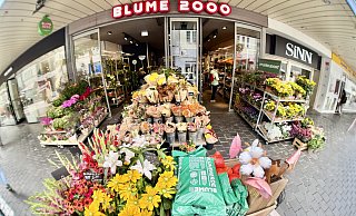 Wo jetzt noch Blume2000 in der Bielefelder Einkaufszone zu Hause ist, wollen vier Bielefelder Brüder mit Geschäftssinn bald Instant-Ramen verkaufen. - Peter Unger
