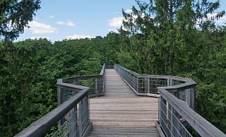 Auf dem mehr als 500 Meter langen Rundweg des Baumwipfelpfades können Besucher den Wald aus der Höhe entdecken. - Henrike Buschmann
