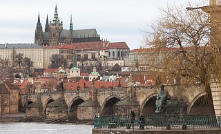Der erste Stadtbezirk ließ Anfang Oktober ein lokales Referendum zu dem Thema abhalten. (Archivbild) - Michael Heitmann/dpa