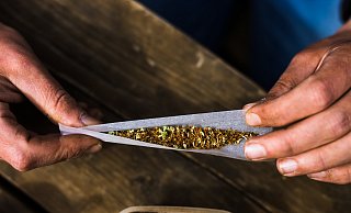 Das Bundeskabinett hat die teilweise Legalisierung von Cannabis auf den Weg gebracht. - dpa/Philipp von Ditfurth