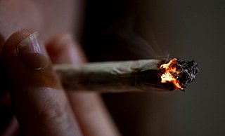 Nach dem Gesetz der Ampel-Koalition sollen Besitz und Anbau von Cannabis mit zahlreichen Vorgaben für Volljährige zum Eigenkonsum legal werden. - Fabian Sommer/dpa