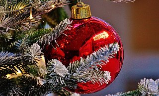 Unbekannte haben mehr als 30 Weihnachtskugeln vom Baum vor dem Rathaus gestohlen. - Pixabay