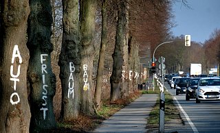 Im vergangenen Jahr hatten Umweltschützer die Bäume entlang der B61 mit weißer Farbe bemalt, um gegen den geplanten Ausbau der Bundesstraße zu protestieren. - Andreas Frücht