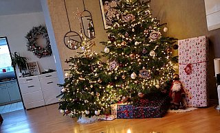 Die Bielefelder haben Weihnachtsbäume in verschiedenen Varianten im Wohnzimmer stehen. - Marina Birkel