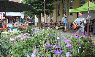 Die Band „Free Waves" spielte auf dem ersten Feierabendmarkt an der Markthalle. - Eike J. Horstmann