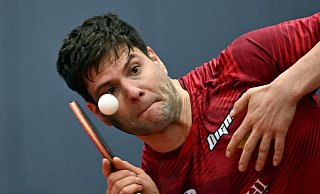 Tischtennis-Star Dimitrij Ovtcharov. - Federico Gambarini/dpa