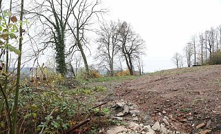 Das Gelände des ehemaligen Felsenkellers ist geräumt. Die Bäume an der Abbruchkante müssen gefällt werden. - Simone Flörke