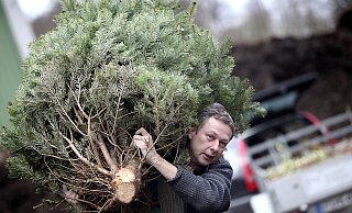 Keine Lust mehr auf die Weihnachtstanne? - Patrick Menzel