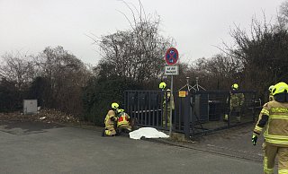 Der ausgewachsene Rehbock hatte versucht, sich durch ein Gattertor zu zwängen und war mit der Hüfte hängengeblieben. - Feuerwehr Paderborn