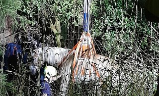 Feuerwehrkräfte heben das Pferd mittels Spezialgerät aus dem Bachlauf in Lage-Oetternbach. - Feuerwehr Lage