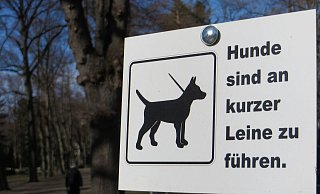 Würde man einen Hund an der kurzen Leine halten, würde er abhauen, sobald es ginge, sagt "MontanaBlack". - picture alliance/dpa-Zentralbild
