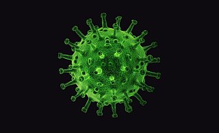 Es wurden weniger Neuinfektionen als am Vortag gemeldet. - Pixabay (Symbolbild)