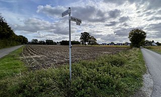 Die Straße “Im Busche”, die das Neubaugebiet im Norden eingrenzt, soll nicht als Erschließungsstraße genutzt, sondern vom Verkehr abgebunden werden. - Birgit Vredenburg