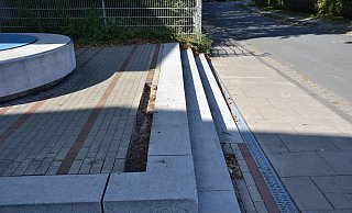 Die Unbekannten haben fast einen Quadratmeter des Pflasters genommen und in einen Busch geschmissen. Vielleicht erklären sie das "Warum?" irgendwann mal bei einer Befragung auf der Wache. - Polizei Herford