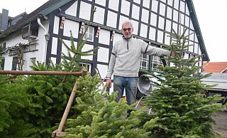 Auch bei Thomas Nordmeyer in der Baumschule Nordhof in Enger ist der Weihnachtsbaumverkauf gut angelaufen. - Mareike Patock