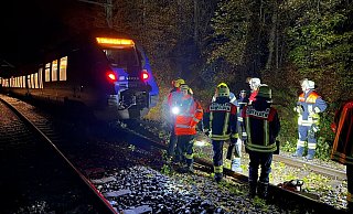 Bei dem Zusammenstoß mit einem Baum wurde kein Passagier des Zuges verletzt. - Thorsten Kremers/dpa