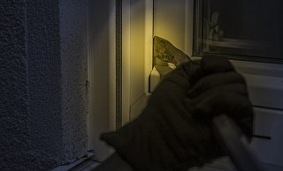Die Einbrecher hebelten die Terrassentür auf, um in das Einfamilienhaus zu gelangen. - Pixabay (Symbolfoto)