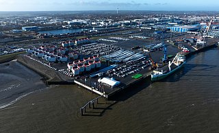 Im Hafen von Cuxhaven wurde ein toter Zwergwal entdeckt. (Symbolfoto) - Philipp Schulze/dpa
