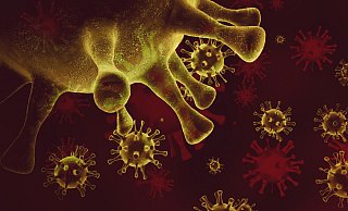 Mehr als 26.000 Infektionen mit dem Coronavirus verzeichnet der Kreis Gütersloh seit Ausbruch der Pandemie. - picture alliance / Zoonar