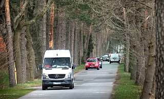 Der Postdamm, eine nur für den Anliegerverkehr freigegebene Fahrradstraße, wird vermehrt als Schleichweg genutzt. - Andreas Frücht