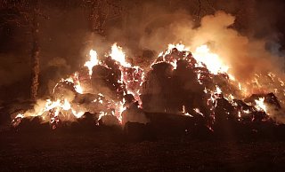 Auf einer Fläche von rund 600 Quadratmetern hatte es gebrannt. Jetzt sucht die Polizei den Brandstifter. - Andreas Eickhoff