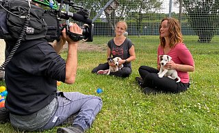 Vox-Moderatorin Kate Kitchenham (rechts) und Züchterin Petra Hagemeier nutzen die TV-Sendung HundKatzeMaus, um über Wesen und Bedürfnisse von Jack-Russell-Terriern aufzuklären. - Maic Horstmann