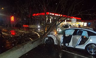 In Minden stürzte ein Baum über die Fahrbahn der Stiftsallee in Höhe einer Tankstelle. Zwei Pkw konnten nicht mehr rechtzeitig bremsen. - Polizei Minden-Lübbecke