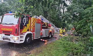 Bäume blockierten die Straße und mussten von der Feuerwehr zersägt werden. - Feuerwehr Bad Oeynhausen