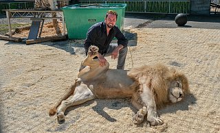 Martin Lacey mit einem Löwen. - Andreas Zobe