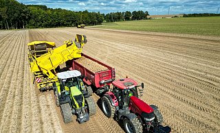 Die Kartoffelbauern haben in diesem Jahr eine sehr gute Ernte eingefahren - es sind sogar zu viele Kartoffeln, die Preise sind relativ schlecht. (Archivfoto) - Jan Woitas/dpa