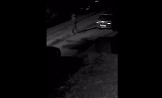 Diese Aufnahme soll den Täter in der Nacht vom 20. auf den 21. Februar bei der Tat zeigen. - Screenshot