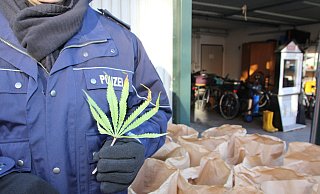 Ein Polizist hält ein Hanfblatt, das zu einer sichergestellten Pfalze gehört, in der Hand. - Jobst Lüdeking