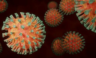 Einige Mutationen wirken sich auf die charakteristischen Ausstülpungen des Coronavirus aus und sorgen für eine höhere Übertragbarkeit. - Symbolbild: Pixaby