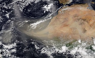 Trägt den Namen einer Horror-Echse: Der gigantische Staubsturm "Godzilla" macht sich von der Sahara aus auf den Weg über den Atlantik. - picture alliance / ZUMAPRESS.com