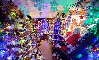 Hunderte Weihnachtsbäume finden in einem Haus in Niedersachsen Platz (Archivbild). - Julian Stratenschulte/dpa