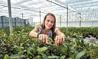 Matcha-Anbauerin: Ursprünglich kommt Kühnle aus dem Weinbau. - Michael Ukas/dpa