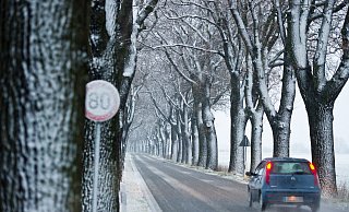 Der Deutsche Wetterdienst warnt Autofahrer in OWL ab Samstagabend vor glatten Straßen durch Frost und Schneefall. - picture alliance
