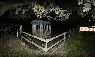 Die Stute Meli ist von einer Weide an der Herforder Straße verschwunden. - Angelina Kuhlmann