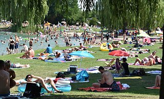 So lässt es sich aushalten: Am Nesthauser See baden die Paderborner im Wasser und in der Sonne. - Svenja Ludwig
